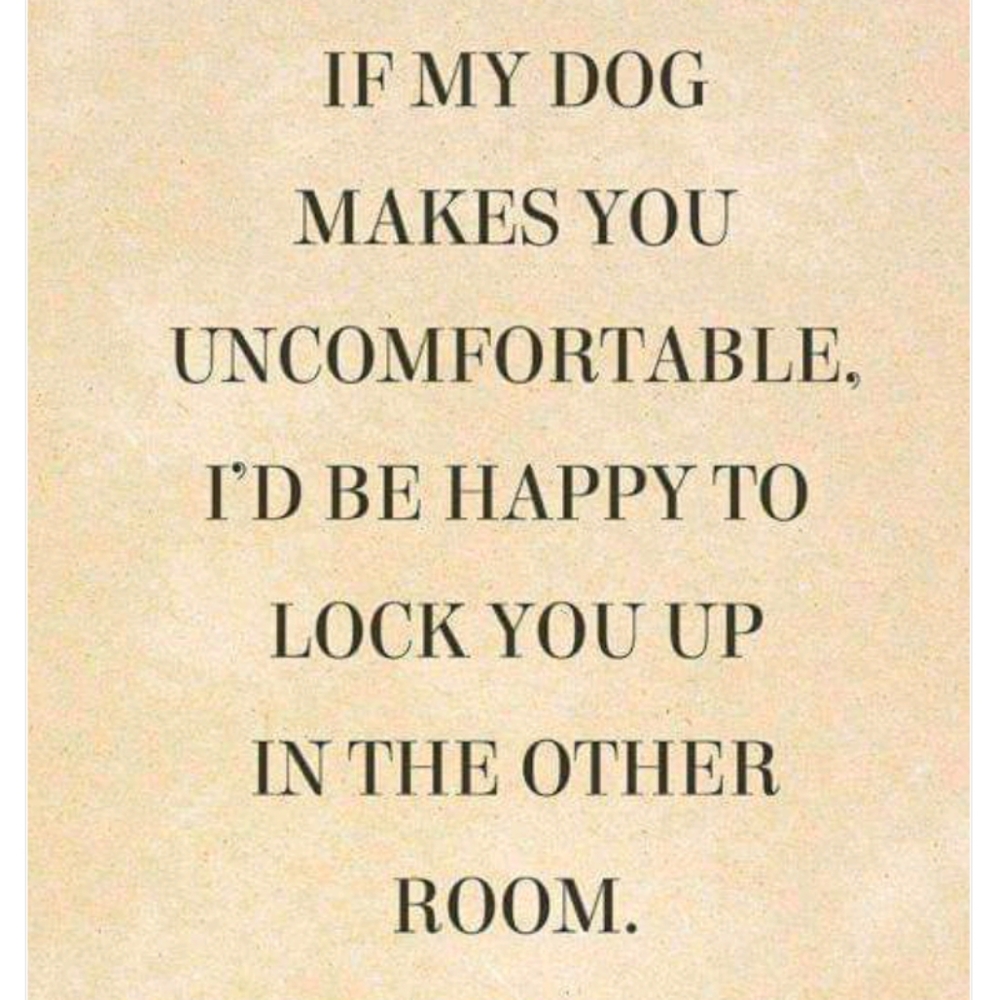 Dog humor